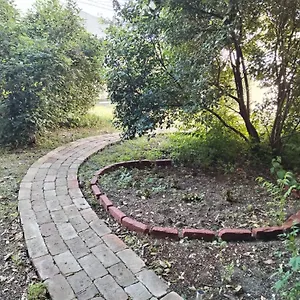  Apartment Garden In The Center